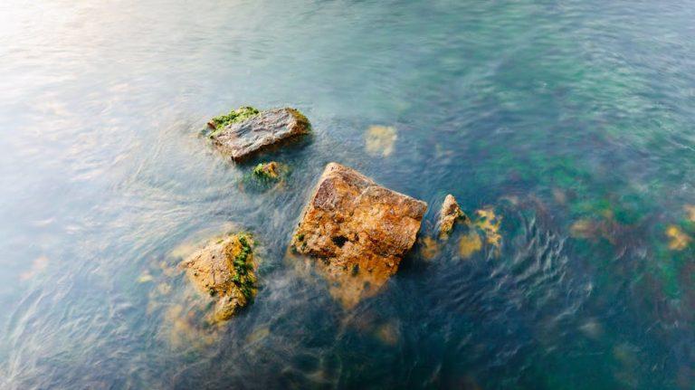 乳癌三期：面對挑戰與希望的故事