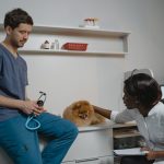 超聲波身體檢查：理解與安心的守護